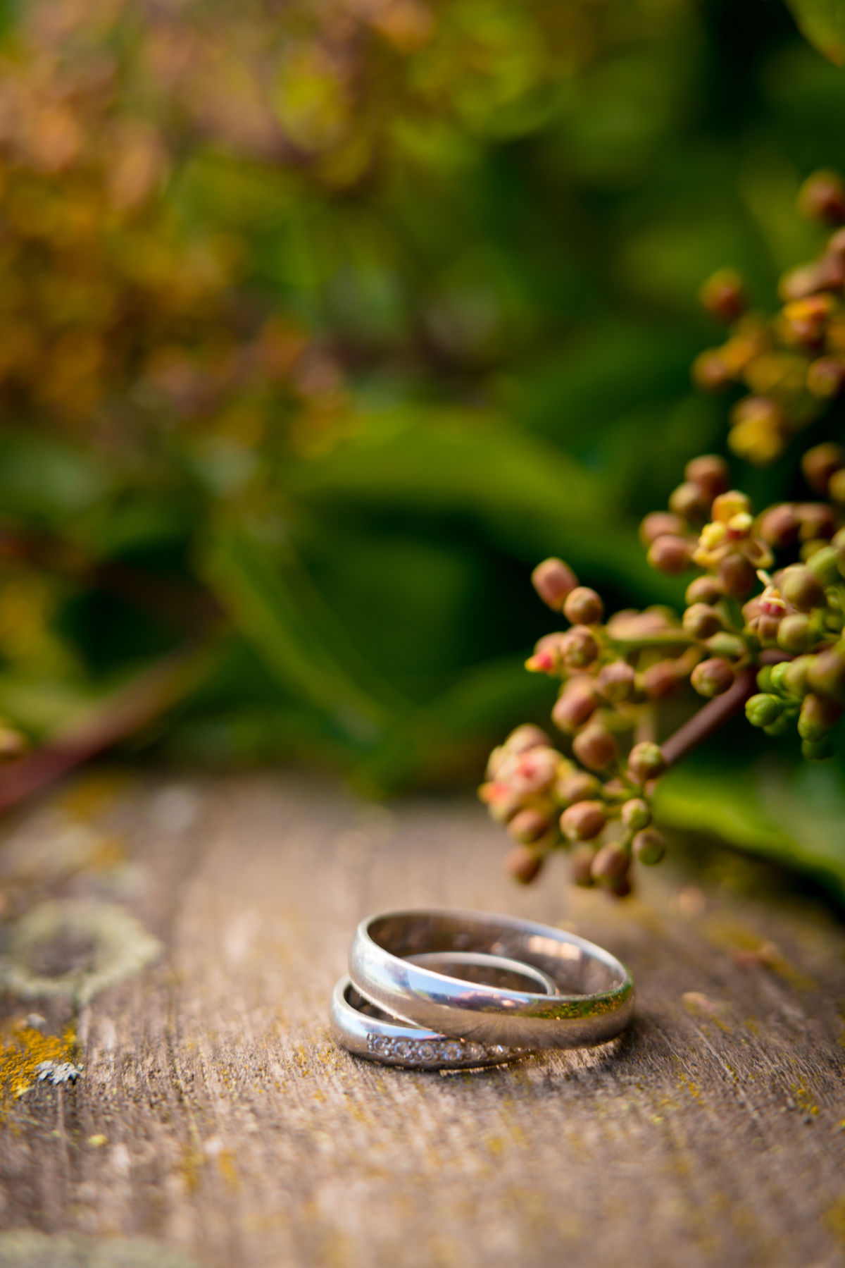 Detail na svatební prstýnky